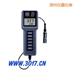 濱州溶解氧、溫度測量儀