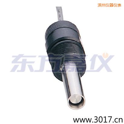 濱州含有溫度兩線電導率電極