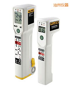 滄州食品安全測溫儀