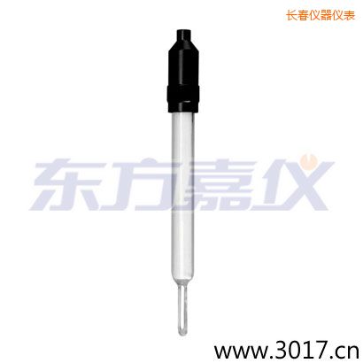 長春玻璃外殼無溫補(bǔ)兩線電導(dǎo)率電極