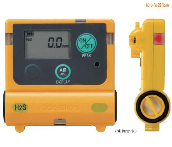 長沙硫化氫計(jì)