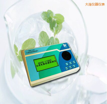 大連合成色素快速檢測(cè)儀