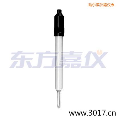 哈爾濱玻璃外殼無溫補兩線電導率電極