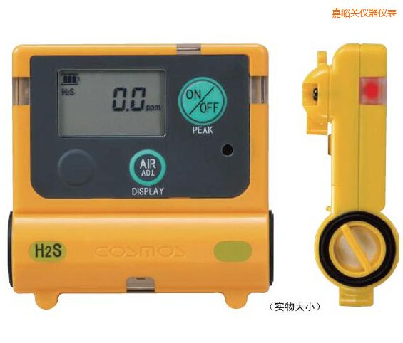 嘉峪關(guān)硫化氫計