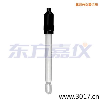 嘉峪關(guān)無(wú)溫補(bǔ)兩線電導(dǎo)率電極