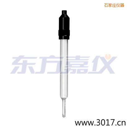 石家莊玻璃外殼無溫補兩線電導率電極