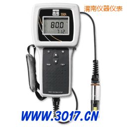 渭南便攜式溶解氧測(cè)量?jī)x