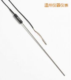 溫州高性能金屬桿標準鉑電阻溫度計