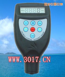 延安鐵基涂層測厚儀