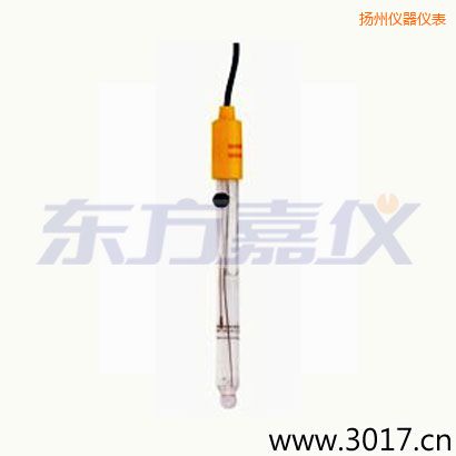 揚(yáng)州可填充玻璃管電極