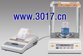 株洲BT系列精密天平,21g,0.01mg