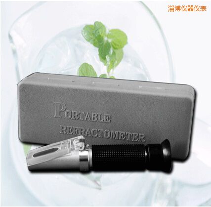 淄博手持式食鹽/鹽度快速測(cè)定儀